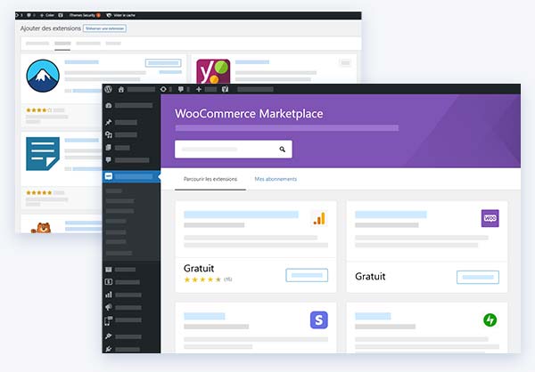 What is a WooCommerce module