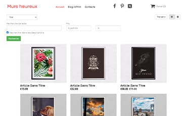Preview of an online store created with SiteBuilder Pro, including catalog, cart, and integrated payments.